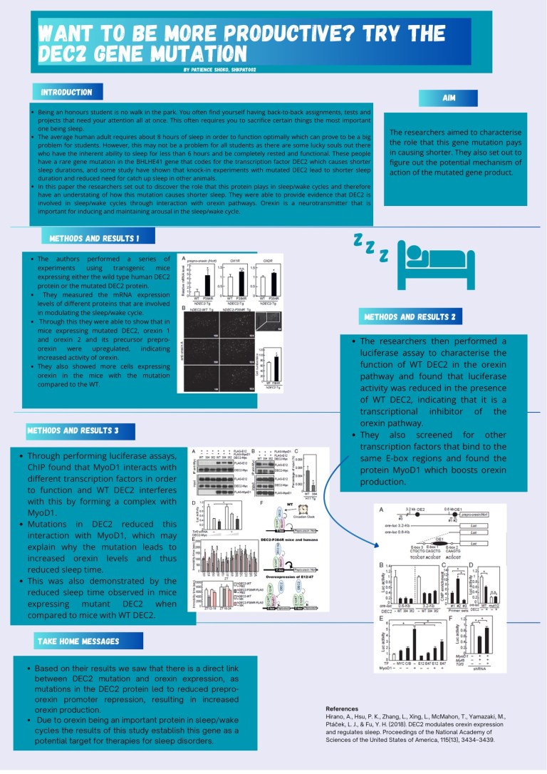 WANT TO BE MORE PRODUCTIVE? TRY THE DEC2 GENE MUTATION – Health Science ...